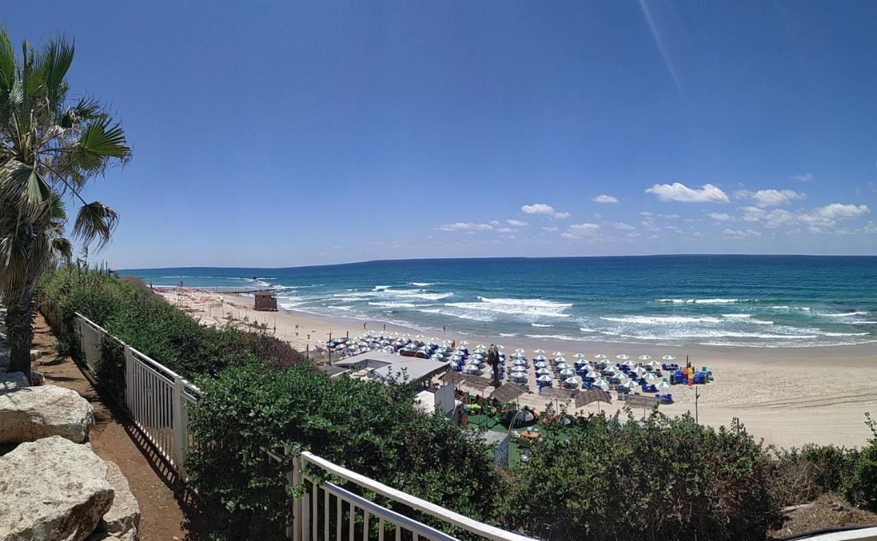 612 Apartment On The Beach 巴特亚姆 外观 照片